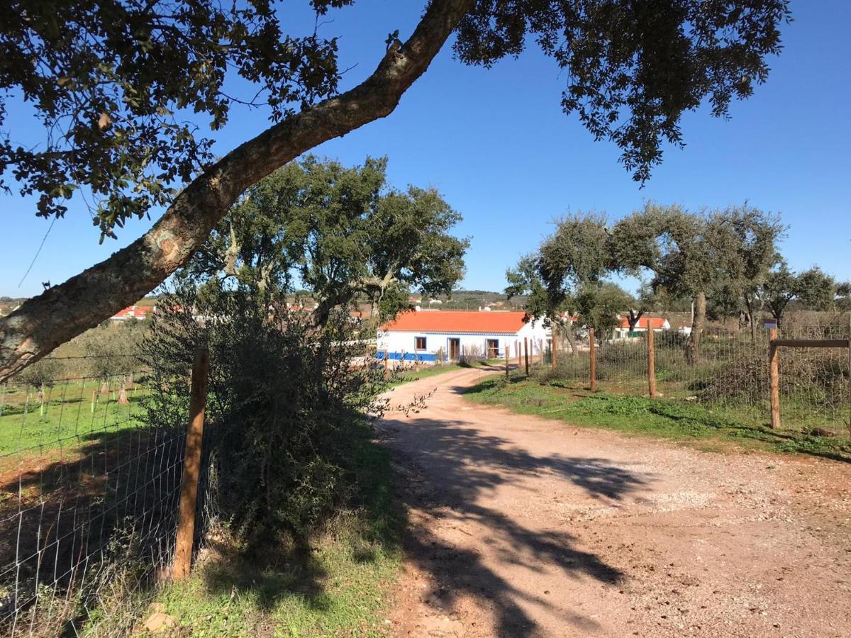 Herdade Da Maridona - Agroturismo Estremoz Bagian luar foto