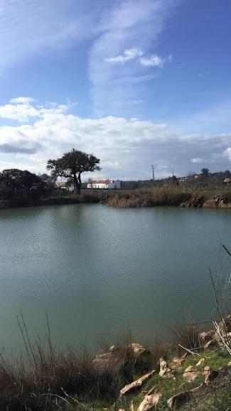 Herdade Da Maridona - Agroturismo Estremoz Bagian luar foto